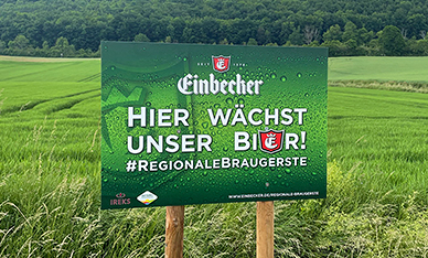 Regionale Braugerste